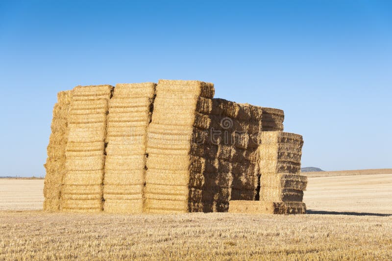 Bale of hay