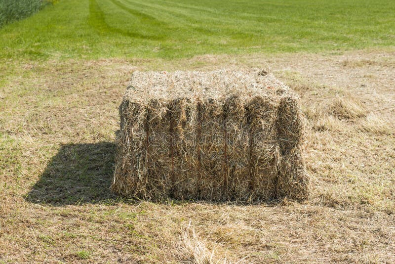 Bale of hay on a sunny day stock photo. Image of gold - 41922506