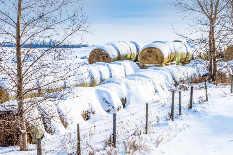 330 Snow Covered Hay Bale Stock Photos - Free & Royalty-Free Stock ...