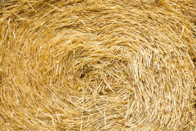 Bale of straw stock image. Image of outdoors, festival - 57603119
