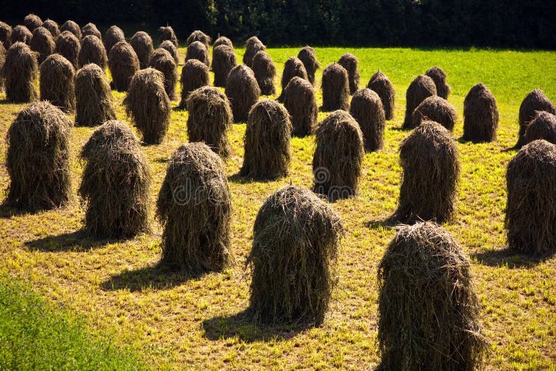 Bale of straw in the Tirolean Alps