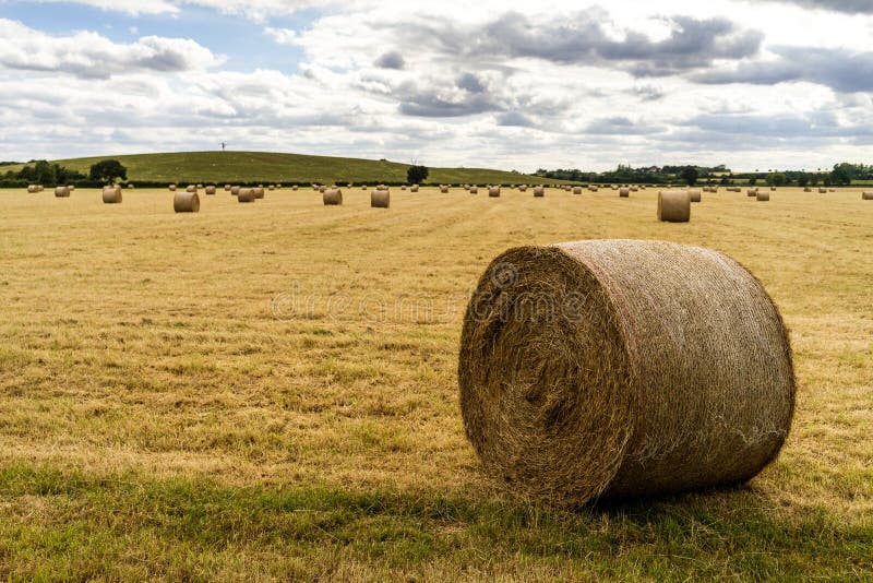 Bale of Wheat on Field at West Midlands, UK Stock Image Image of