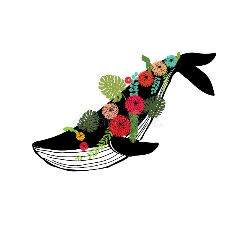 Baleine bleue de marina de Vaquita connue sous le nom d'illustration de vecteur de sealife de Cochito illustration de vecteur Baleine bleue de marina de Vaquita connue sous le nom d'illustration de vecteur de sealife de Cochito illustration de vecteur
