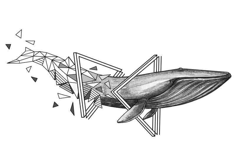 Baleine bleue graphique illustration stock Baleine bleue graphique illustration stock