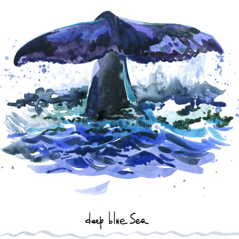 baleine Illustration d'aquarelle de baleine de bosse illustration stock baleine Illustration d'aquarelle de baleine de bosse illustration stock