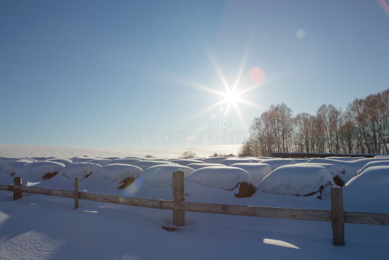 Balen van hooi op een de wintergebied onder de sneeuw hooibergen in het landbouwbedrijf stock foto Balen van hooi op een de wintergebied onder de sneeuw hooibergen in het landbouwbedrijf stock foto
