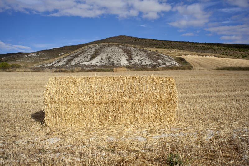 Bales of Hay, Spanish Countryside Stock Image Image of ears, bales