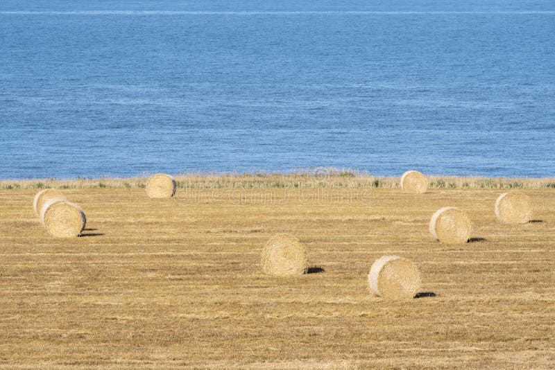 Bales of Hay in the Field 2 royalty free stock photo Bales of Hay in the Field 2 royalty free stock photo