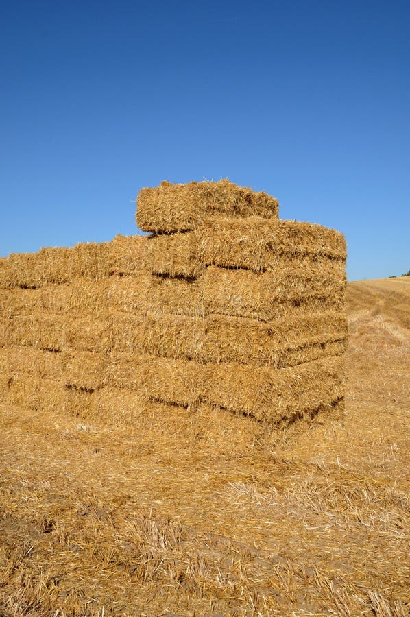France, Bales of Straw in a Field Near Saint Clair Sur Epte Stock Photo