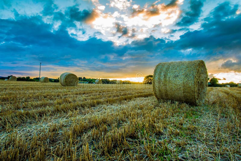 Bales of Straw on Irish Field at Sunset Stock Image - Image of lights ...