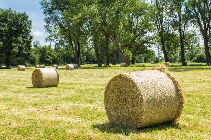 Bales of straw stock photo. Image of landscape, bale 59481496
