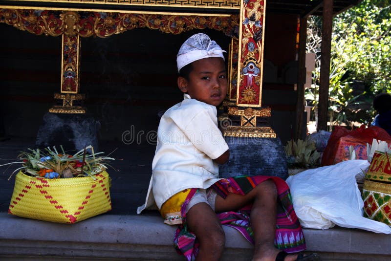 Cat Child Balinese Together Play. Cute Boy Stock Image - Image of