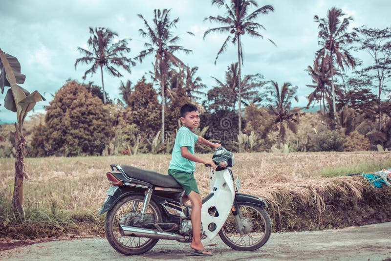 BALI INDONEZJA, GRUDZIEŃ, - 5, 2017: Mała balijczyk chłopiec na motocyklu blisko do ryżu pola, Bali wyspa obrazy stock BALI INDONEZJA, GRUDZIEŃ, - 5, 2017: Mała balijczyk chłopiec na motocyklu blisko do ryżu pola, Bali wyspa obrazy stock
