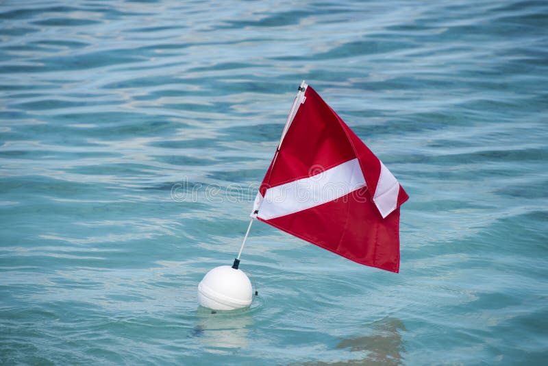 Balise de piqué de scaphandre avec le drapeau dans l'eau tropicale photos libres de droits Balise de piqué de scaphandre avec le drapeau dans l'eau tropicale photos libres de droits