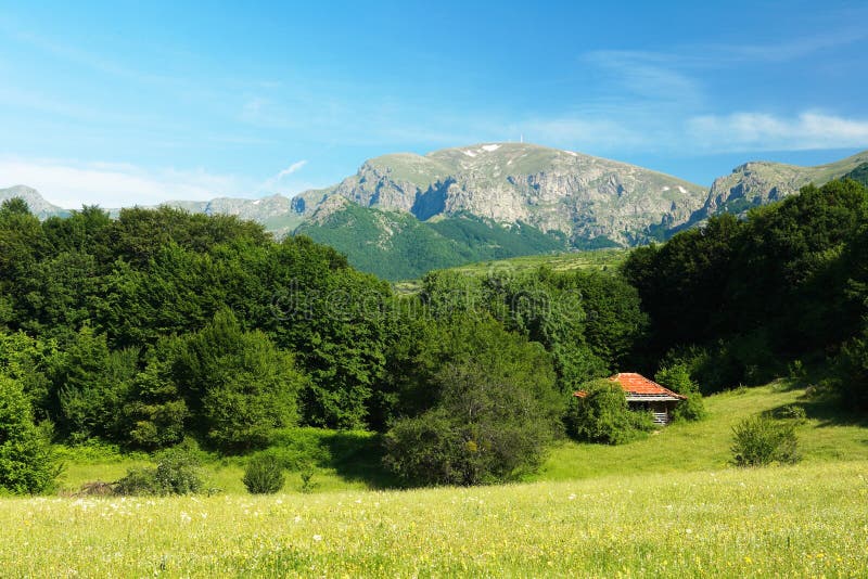 Balkan berg