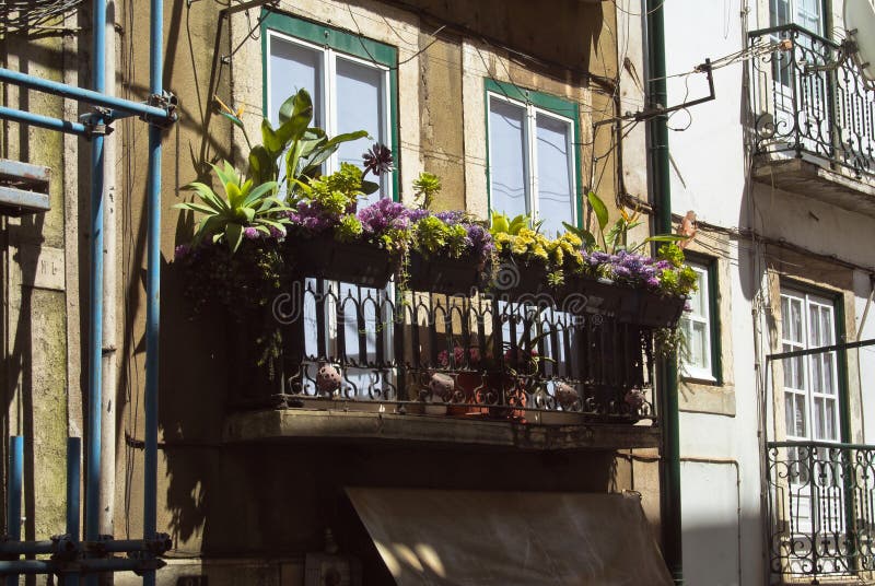 Balkon op een gebouw in het Alfama-district met verschillende installaties en bloemen stock foto's Balkon op een gebouw in het Alfama-district met verschillende installaties en bloemen stock foto's