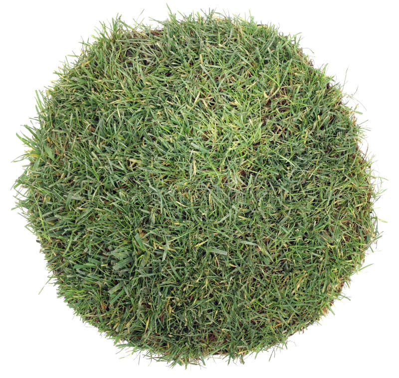 Ball of Grass stock image. Image of natural, sport, ball 25349279