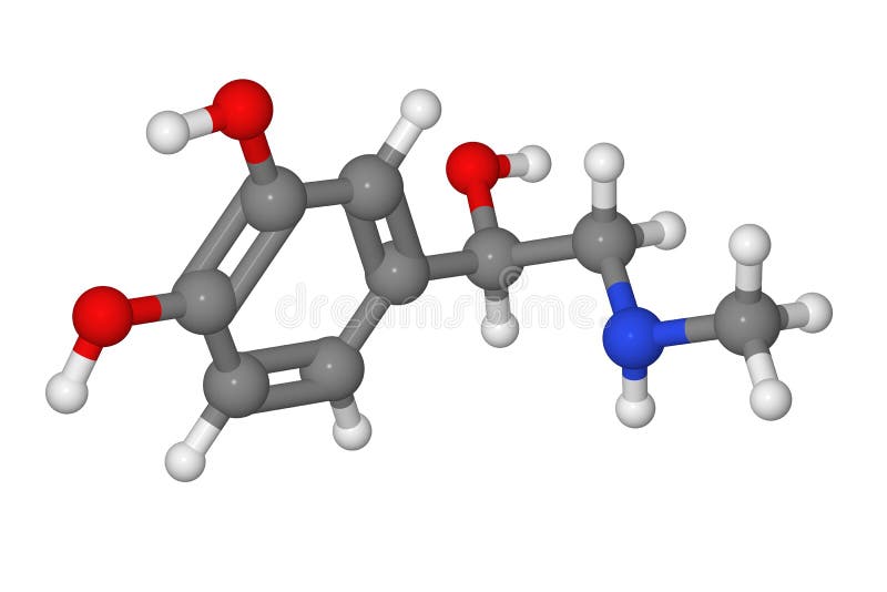 Ball and stick model of adrenaline molecule