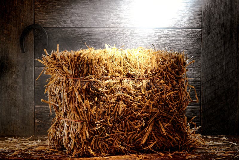 Bale of straw hay on wood aged floor in an antique and dusty old wooden barn with weathered walls on a farm or a ranch lit by diffused hazy light. Bale of straw hay on wood aged floor in an antique and dusty old wooden barn with weathered walls on a farm or a ranch lit by diffused hazy light