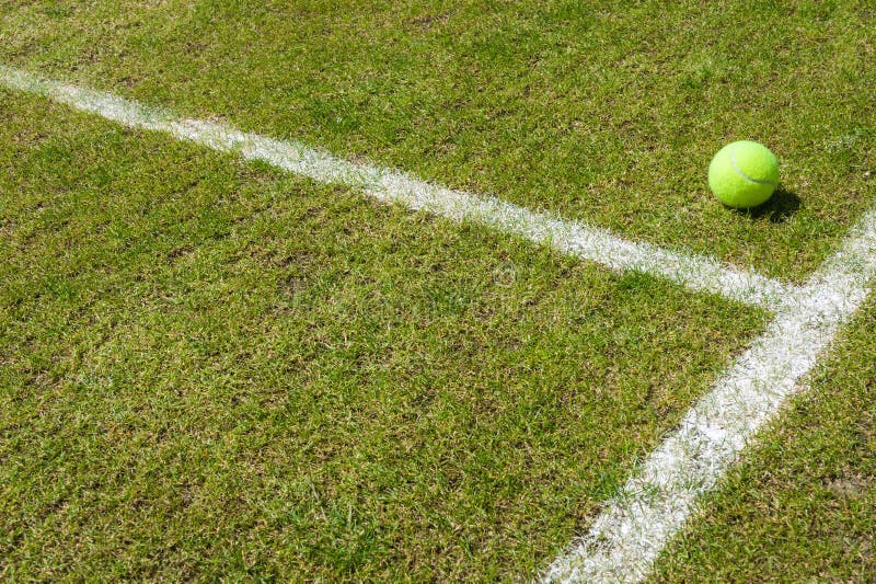 Tennis ball on a grass court neer the white line. Tennis ball on a grass court neer the white line.