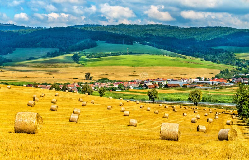 Balle della paglia su un giacimento di grano in Slovacchia fotografie stock Balle della paglia su un giacimento di grano in Slovacchia fotografie stock