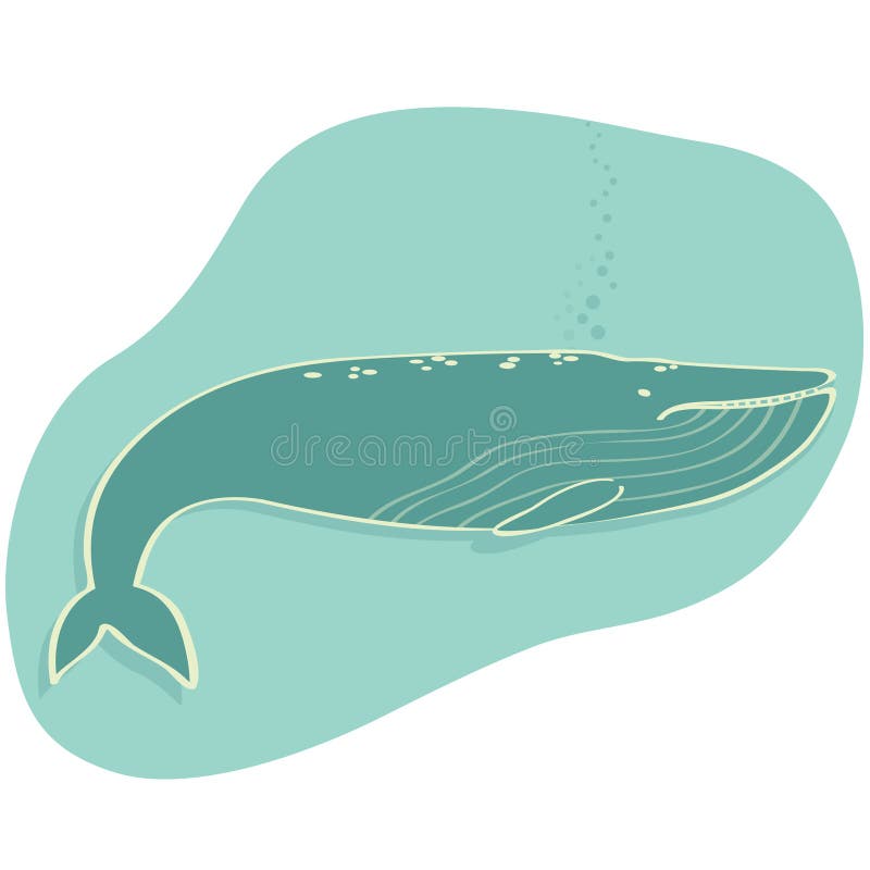 Illustration of a blue whale swimming isolated + vector file. Illustration of a blue whale swimming isolated + vector file