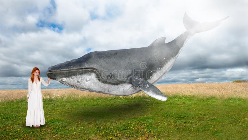 Ballena del vuelo, paz, esperanza, inspiración imágenes de archivo libres de regalías Ballena del vuelo, paz, esperanza, inspiración imágenes de archivo libres de regalías