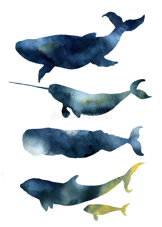 Ballenas de la acuarela fijadas Dé a animales de mar exhaustos las siluetas con textura del cielo Impresiones con la ballena azul ilustración del vector Ballenas de la acuarela fijadas Dé a animales de mar exhaustos las siluetas con textura del cielo Impresiones con la ballena azul ilustración del vector