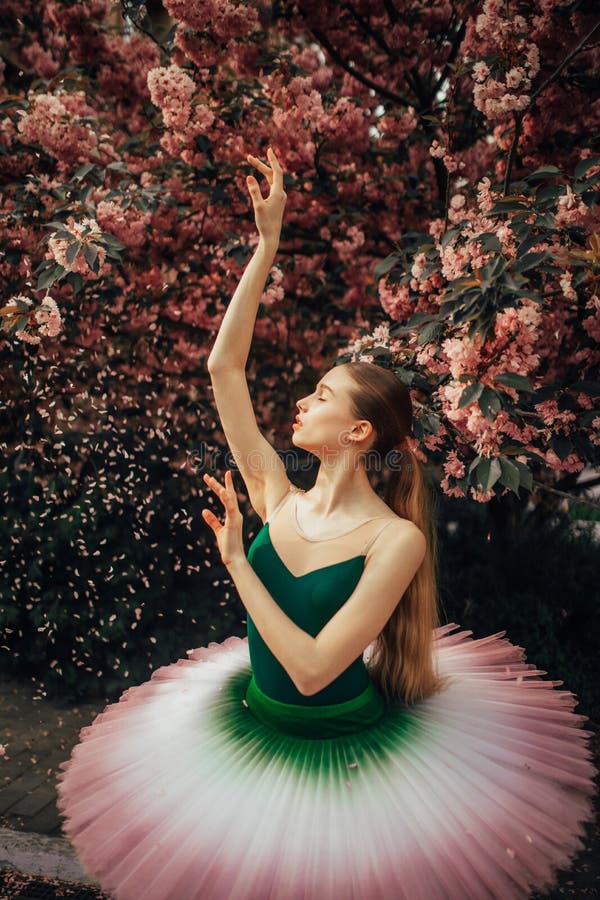 Ballerina che balla contro lo sfondo della fioritura gli alberi di sakura e dei petali di caduta fotografia stock libera da diritti Ballerina che balla contro lo sfondo della fioritura gli alberi di sakura e dei petali di caduta fotografia stock libera da diritti