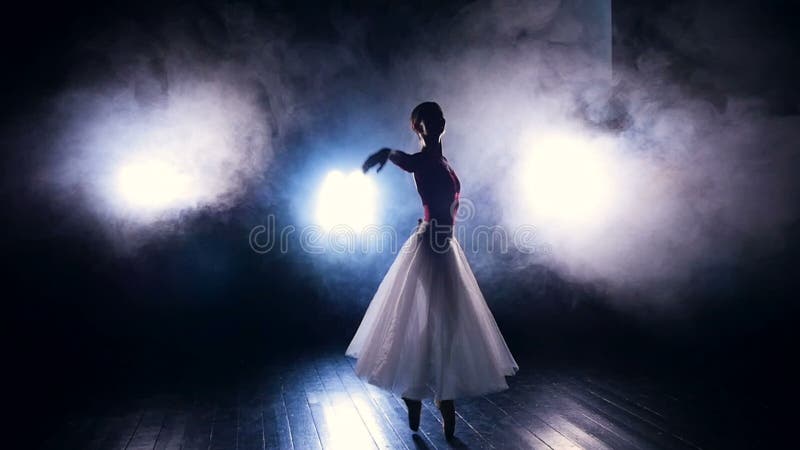 A ballerina dances in the artificial stage fog.