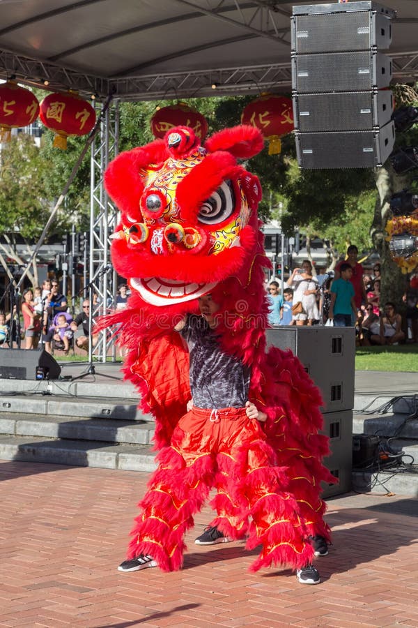 Ballerini in un costume rosso luminoso, nuovo anno cinese del leone immagini stock libere da diritti Ballerini in un costume rosso luminoso, nuovo anno cinese del leone immagini stock libere da diritti