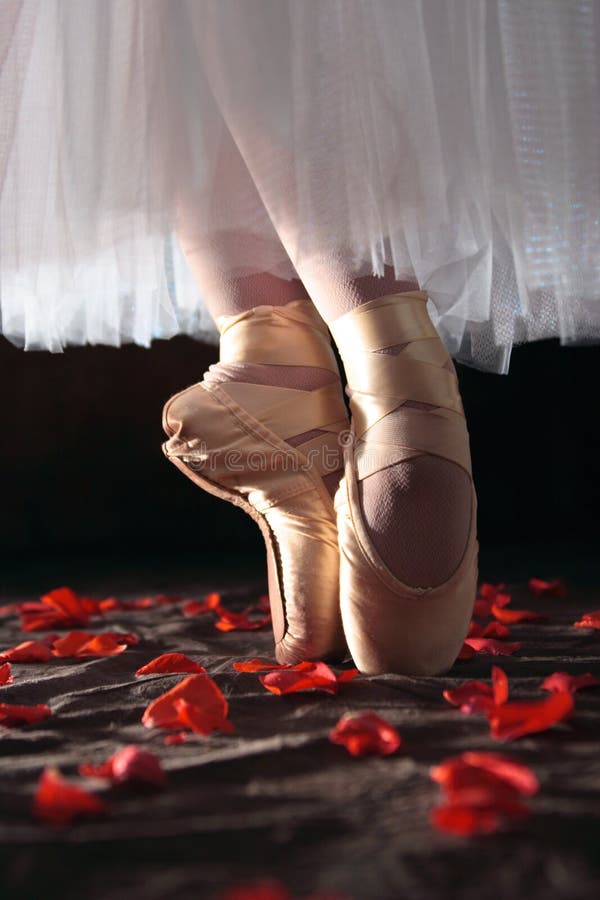 Ballet et roses photo stock. Image du voûte, ballerine 1598552