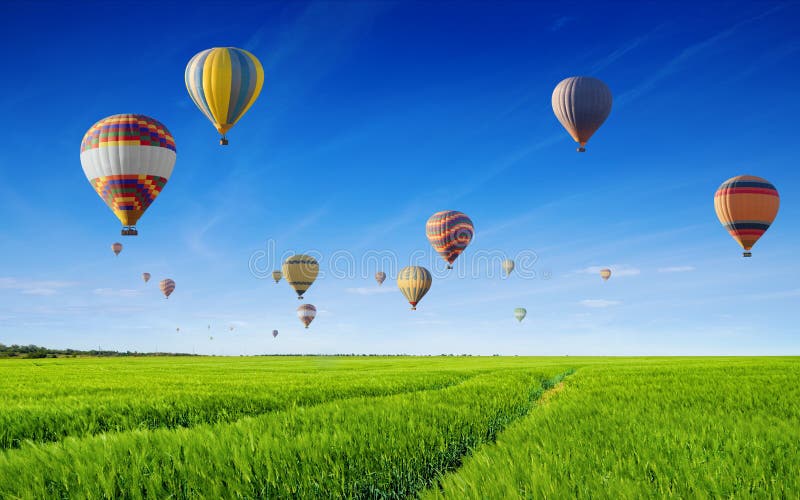 Ballonger med varmt luft flyger i blått skum över grönt fält. vacker solig sommardag, väderlöst väder. Flerfärgade varmluftsballonger flyger i blå himmel över grönfält.