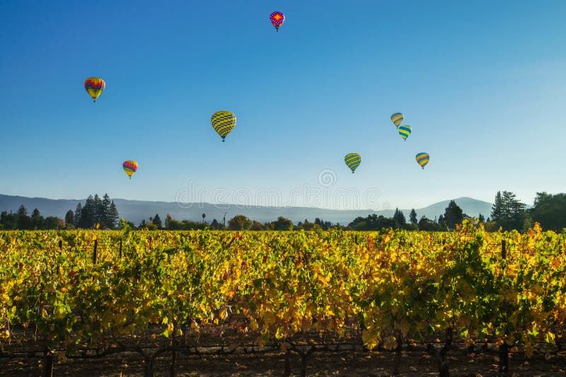 Ballons boven de wijngaard stock afbeelding Ballons boven de wijngaard stock afbeelding