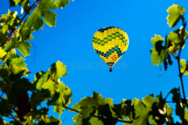 Ballooning del paese di vino
