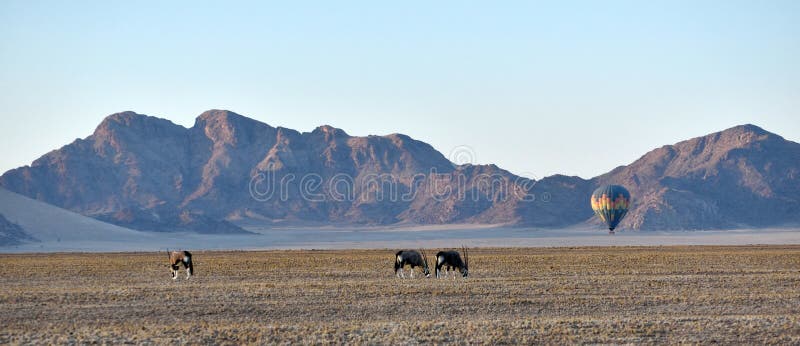 Ballooning no deserto de Namid-Naufluft, Namíbia foto de stock Ballooning no deserto de Namid-Naufluft, Namíbia foto de stock