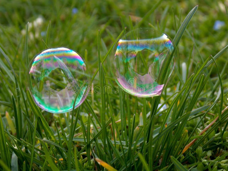 Balloons on a grass stock photo. Image of congratulations 2391558