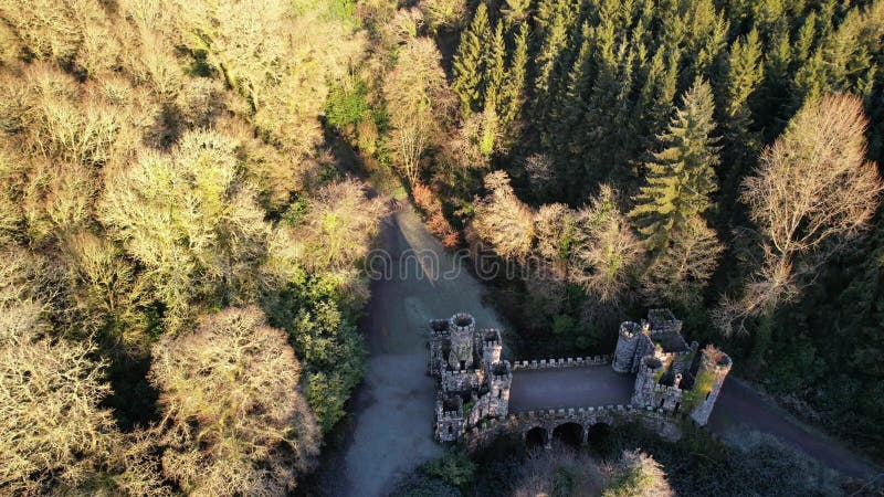 Ballysaggartmore tours en irlande par un matin d'hiver gelé banque de vidéos