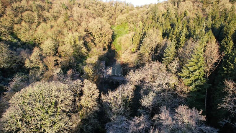 Ballysaggartmore tours en irlande par un matin d'hiver gelé clips vidéos