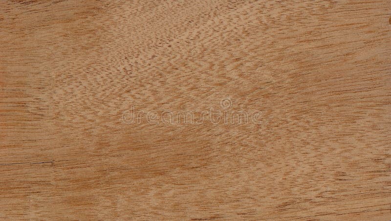 Balsa sheet stock photo Balsa sheet stock photo