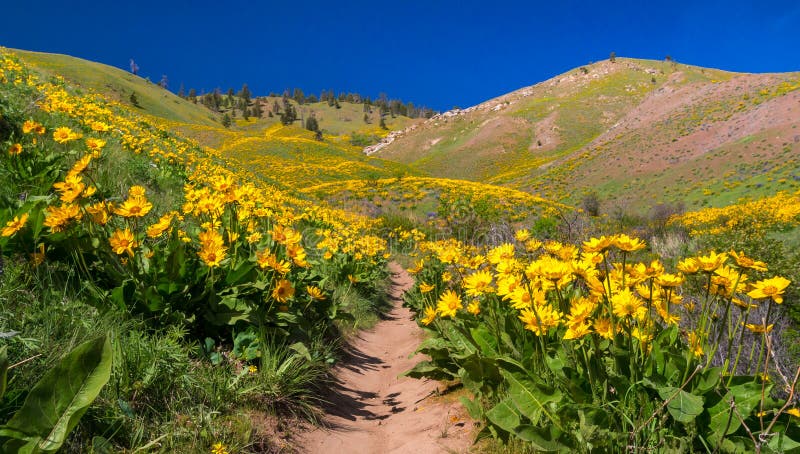 Sage Hills, Wenatchee, Washington State