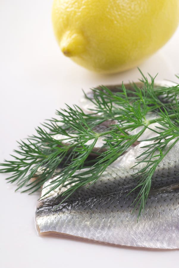 Baltic Herring Fillet stock images Baltic Herring Fillet stock images