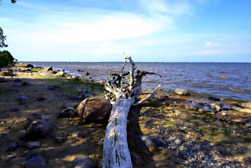 The Baltic Sea and an ancient tree. stock illustration