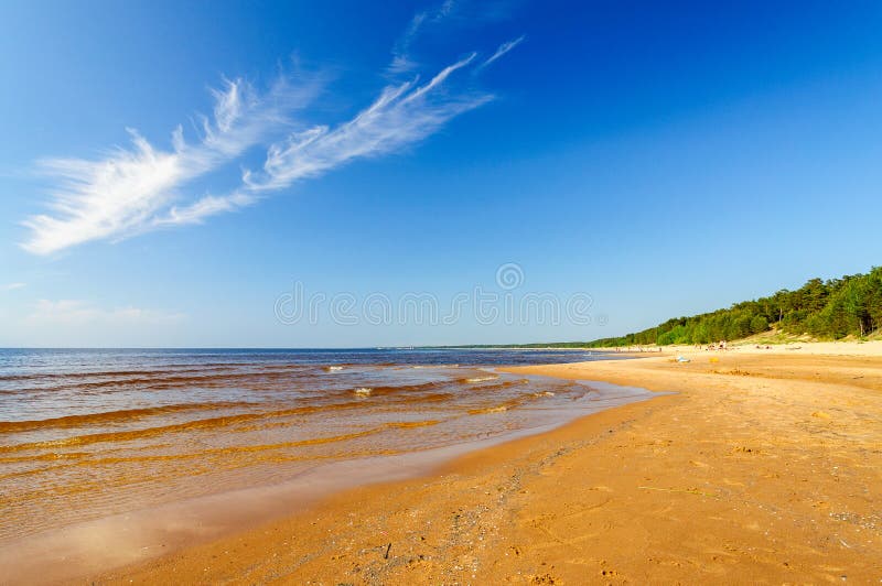 Baltic sea beach in Saulkrasti