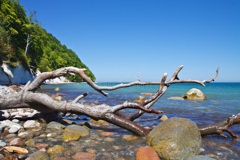 Baltic Sea coast