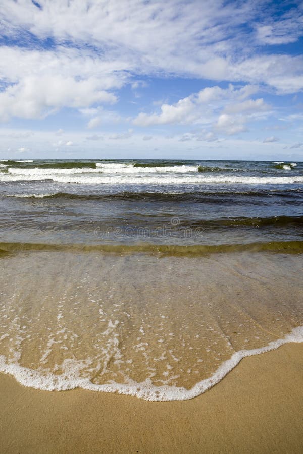 The Baltic Sea is Cold in the Summer Stock Image Image of strong