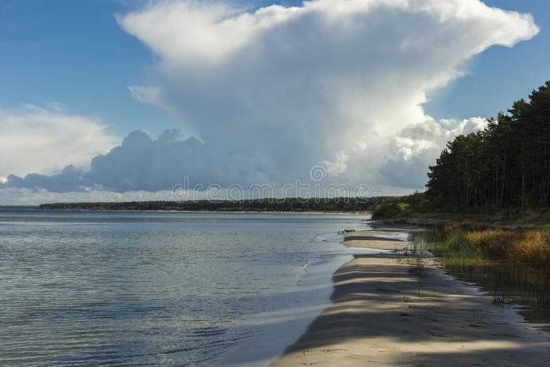 Baltic Sea Shore In Latvia Sand Dunes With Pine Trees And Clouds Stock Image Image Of Calm 