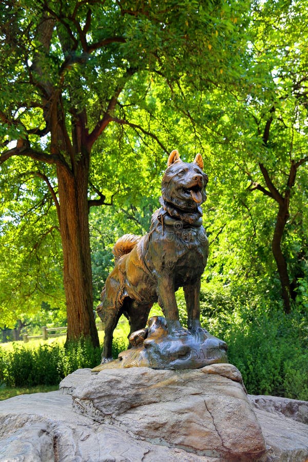 Statue Central Park De New York Balto Photo stock éditorial Image du