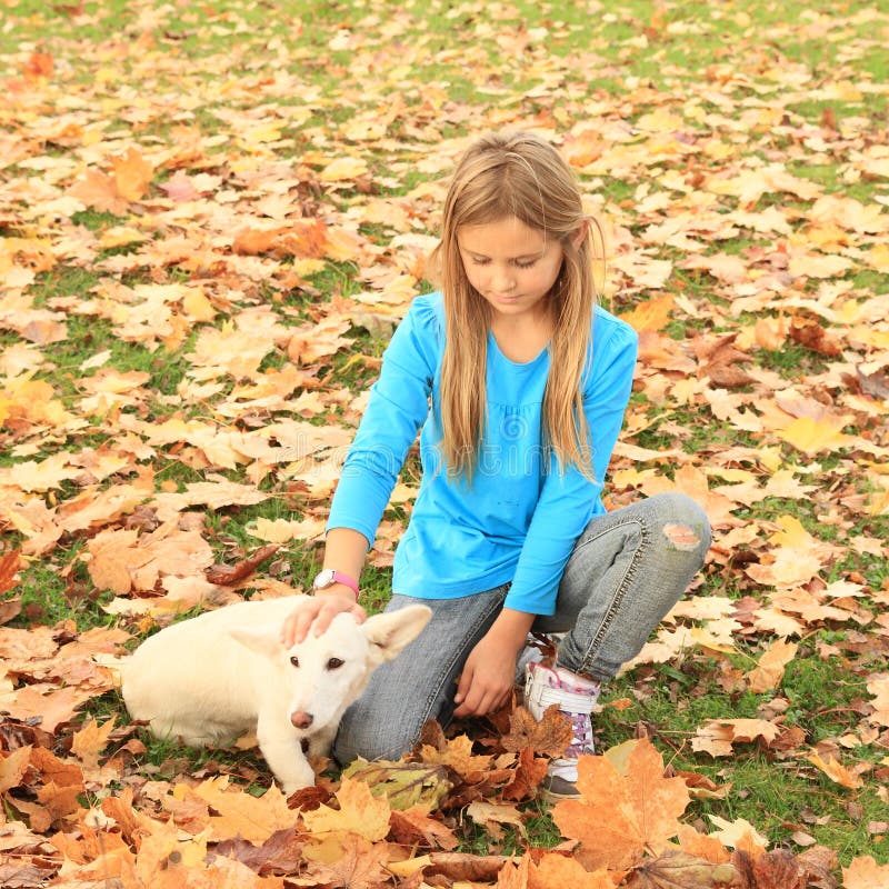 Bambina che gioca con un cane immagini stock Bambina che gioca con un cane immagini stock