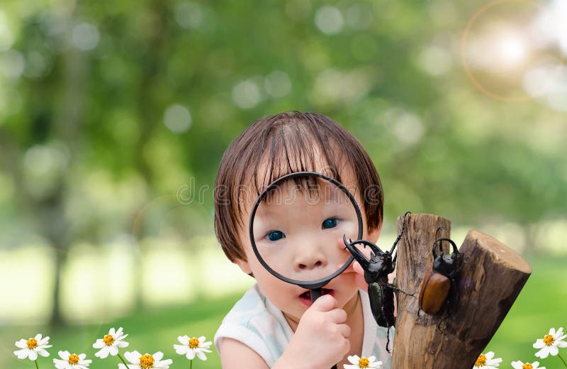 Bambina che guarda lo scarabeo di rinoceronte in giardino immagini stock libere da diritti Bambina che guarda lo scarabeo di rinoceronte in giardino immagini stock libere da diritti